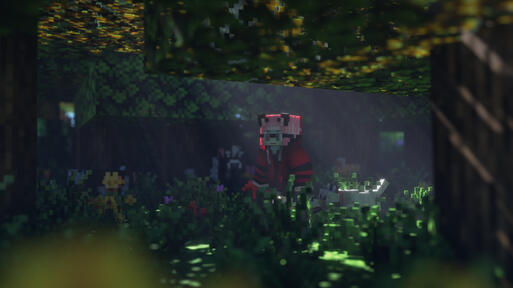 Forest Hike